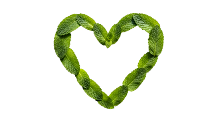 Fresh Mint Leaves Form Heart Shape on Transparent Background, Representing Love and Health