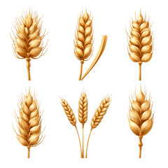 Six golden ripe wheat stalks on transparent background, PNG