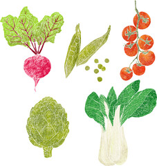 Hand-Drawn Vegetable Illustration Set – Linocut Style Organic Food illustration-Beetroot, Peas, Tomato, Artichoke, Bok Choy