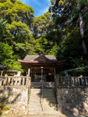 猪名川町　春日神社の社と御神木