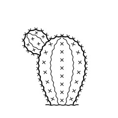 Cactus with prickles. Hand drawn icon of desert plant in sketch doodle style. Isolated vector illustration.