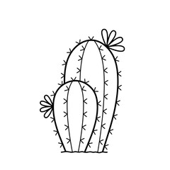 Cactus. Two blooming cacti. Hand drawn sketch icon of mexican cactus flower. Isolated vector illustration in doodle line style.