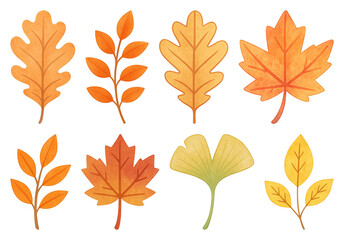 Fototapeta premium PNG Colorful autumn leaves illustration, element set on transparent background