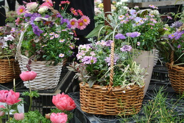 flowers in a basket