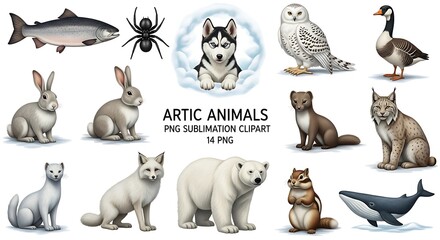 Fototapeta premium Arctic Animals Collection with Salmon Husky Owl Goose Rabbit Lynx Polar Bear Chipmunk Whale wildlife