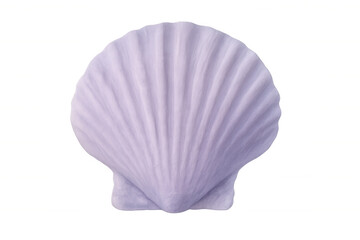 Studio shot of a purple scallop shell on a transparent background, symbolizing ocean life, beauty, and tranquility