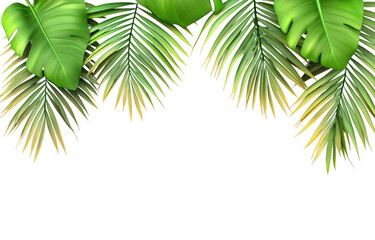 Fototapeta premium Lush green palm and Monstera leaves create vibrant tropical atmosphere against transparency background, evoking sense of nature beauty and tranquility