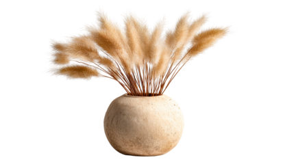 Bunches of dried bunny tail grass arranged in a textured round vase, cut out transparent