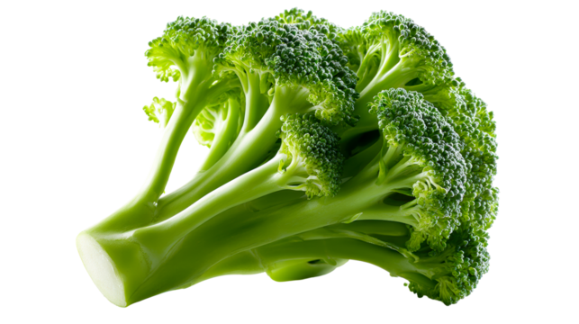 Fresh Green Broccoli Florets and Stems Isolated on White, cut out transparent