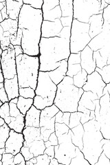 Black and White Cracked Surface Abstract Grunge Texture Overlay Vector