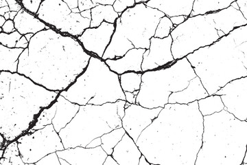 Black and White Grunge Distressed Cracked Texture Overlay