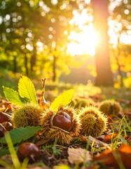 Autumnal chestnuts on forest floor