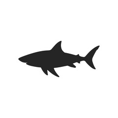 Hand Drawn Shark Silhouette