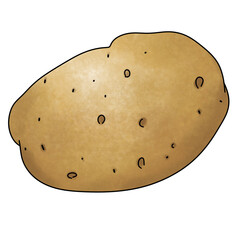 Young Fresh  potato clipart