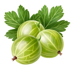 Fresh green gooseberries with leaves on black background