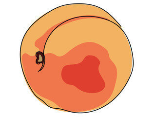 Apricot in a continuous line pattern on a white background.