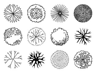 set of architectural tree top view hand drawn