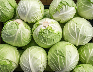 Fototapeta premium cabbage in the market