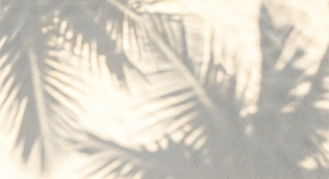 Palm leaf shadows on a textured wall create a stunning natural pattern, perfect for backgrounds