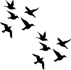 Fototapeta premium Flying birds silhouettes vector illustration