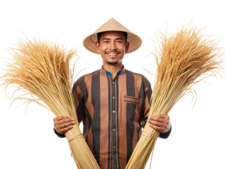 Smiling farmer exhibiting harvested rice sheaves wearing a traditional conical hat isolated
