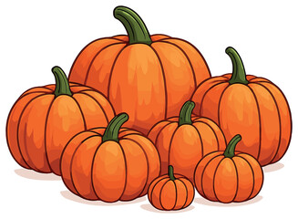 Vector illustration of pumpkin harvest: autumn harvest, thanksgiving, seasonal vegetables