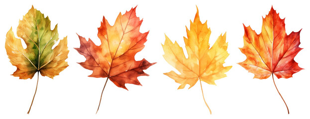 Fototapeta premium PNG Vibrant watercolor autumn leaves, element set on transparent background
