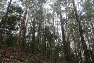 Beautiful landscape photos from Horton Plains, Sri Lanka 