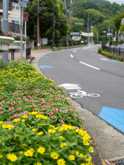 花壇に花が咲く道路沿いの景色