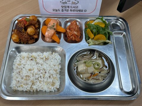 Korean School Lunch on Stainless Steel Tray