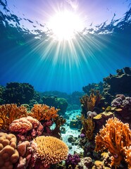 A vibrant coral reef teeming with colorful marine life, illuminated by golden sunlight filtering through the crystal-clear water above.