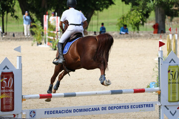 Competitive Equestrian Sports