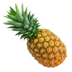 Fototapeta premium Whole ripe pineapple with green spiky leaves and textured skin in shades of yellow and orange