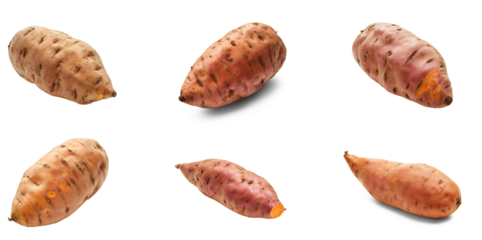 Collection of rough, earthy skin of the sweet potato, with slight imperfections and grooves. full length isolate on transparent background
