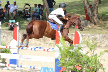 Competitive Equestrian Sports