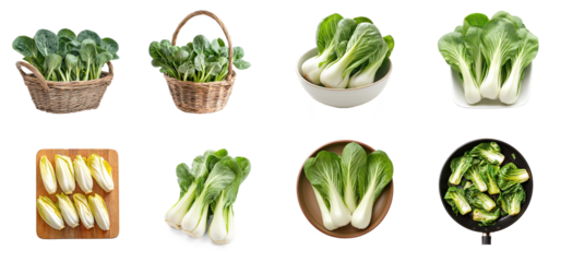 Collection of Fresh bok choy placed in a basket, showing its long stems and large leaves. full length isolate on transparent background