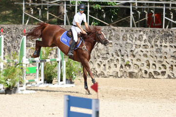 Competitive Equestrian Sports