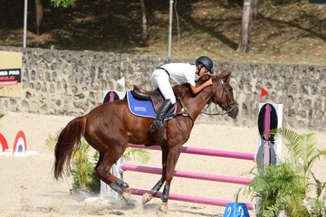 Competitive Equestrian Sports