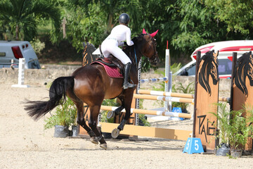 Competitive Equestrian Sports