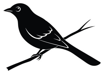 Obraz premium Elegant black bird perched on a branch in minimalist design style