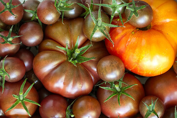 Vibrant Display of Fresh Heirloom and Cherry Tomatoes in Close-Up