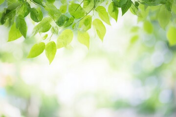 Fresh Green Leaves, Nature Background.