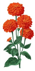 Vibrant Orange Flowers with Lush Green Foliage Detailed Illustration
