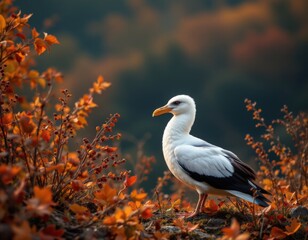 Obraz premium Seagull in Autumn Landscape