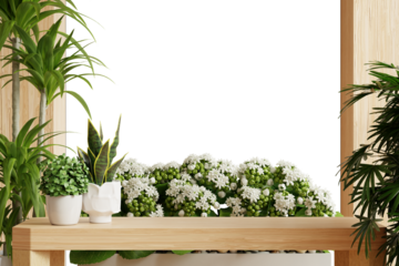 Indoor Plants and White Flowers on Wooden Shelf on transparent background- 3D rendering