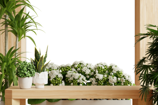 Indoor Plants and White Flowers on Wooden Shelf on transparent background- 3D rendering