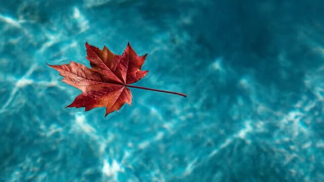 A vibrant red maple leaf floating gracefully on the surface of a shimmering turquoise pool, surrounded by reflections of sunlight, evoking a serene and tranquil atmosphere