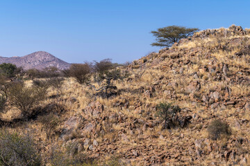 Paysage aride et montagneux en Namibie
