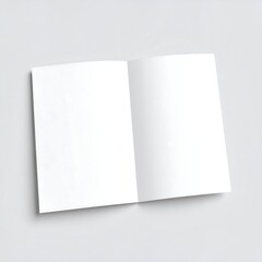 Blank Brochure Mockup, Studio Shot