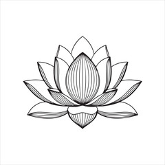Detailed Lotus Flower Line Drawing – Black and White Botanical Illustration with Symmetrical Petal Layers
